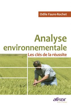 Analyse environnementale : Les Clés de la réussite